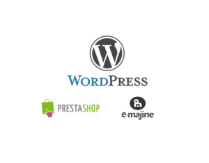 Création site internet Spécialiste WordPress Angers