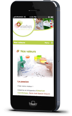Création site internet Spécialiste WordPress Angers